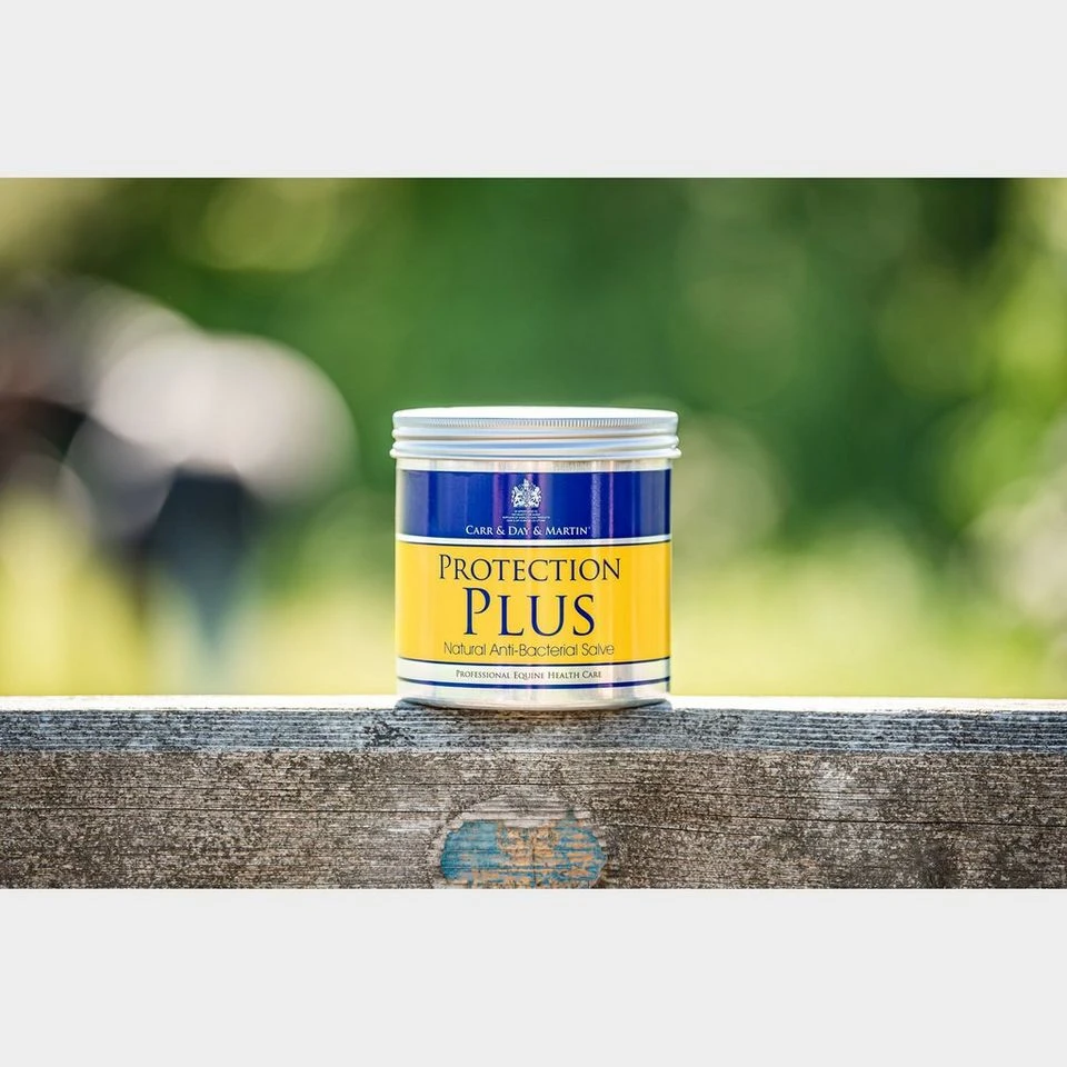 Protection Plus Antibacterial Salve 2 Protection Plus Antibacterial Salve - Image 2