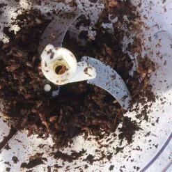 Worm Whizzer -Vango Store go 329123 c